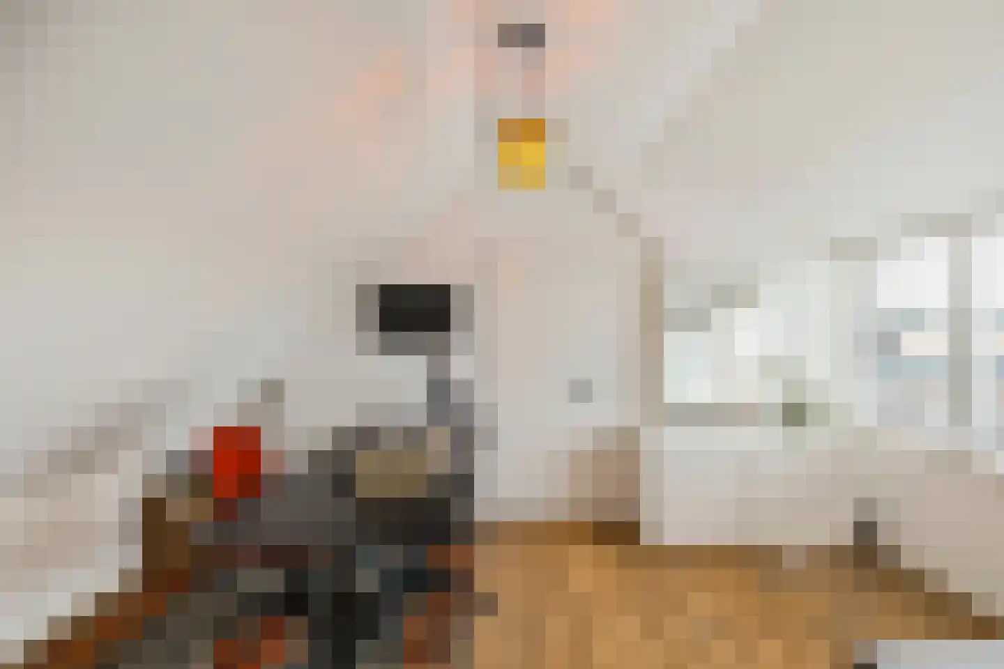 Torenlaan 10 Assen thumbnail 38