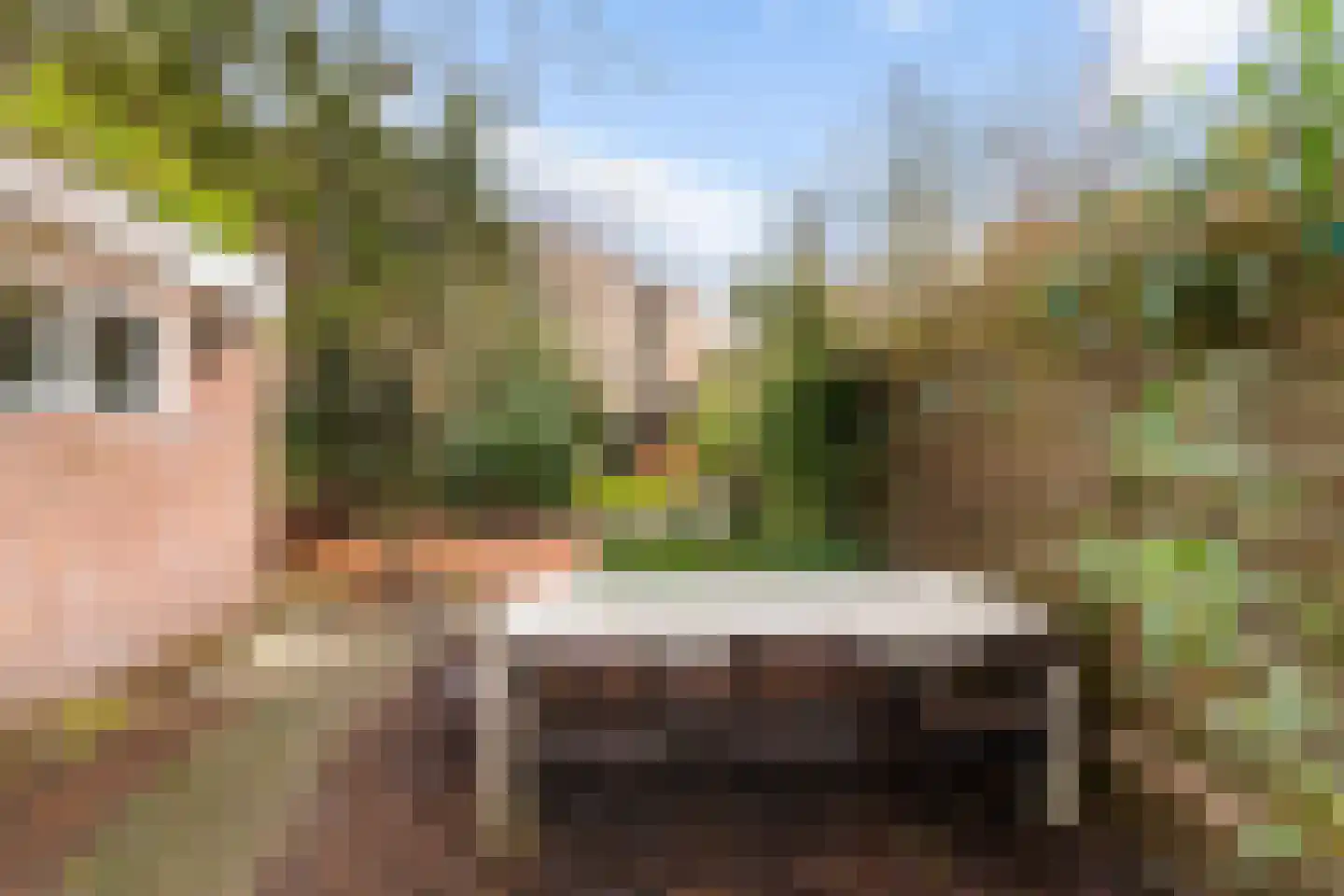 Torenlaan 10 Assen thumbnail 52