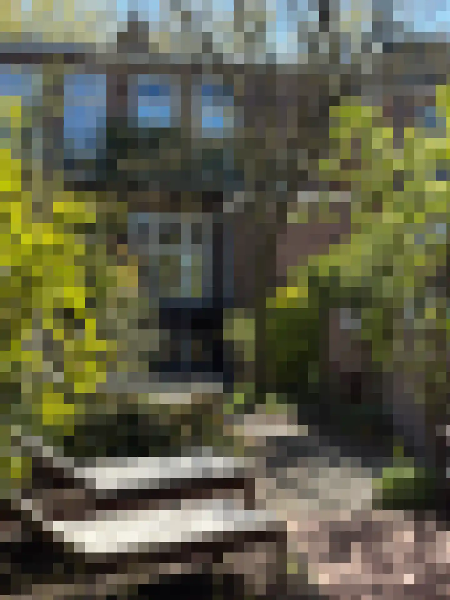Torenlaan 10 Assen thumbnail 52