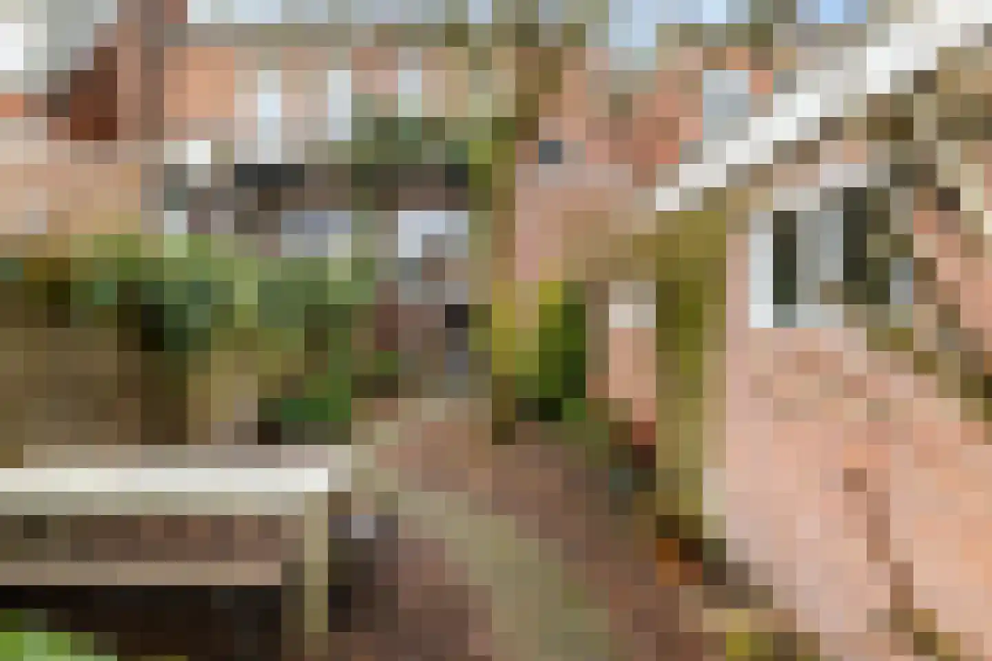 Torenlaan 10 Assen thumbnail 53