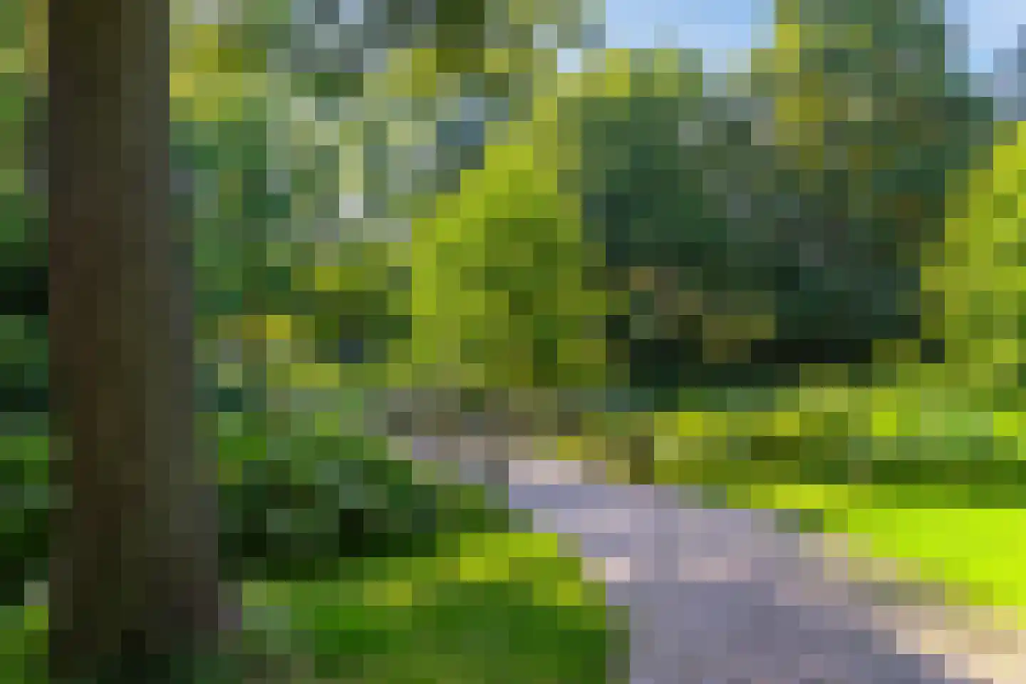 Torenlaan 10 Assen thumbnail 60