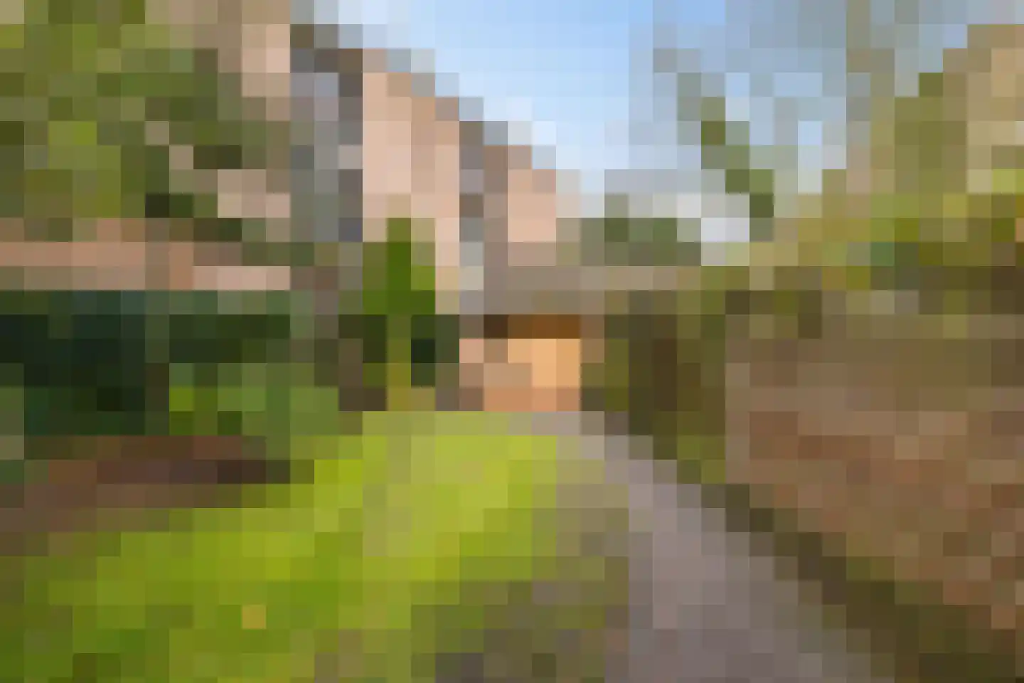 Torenlaan 10 Assen thumbnail 61