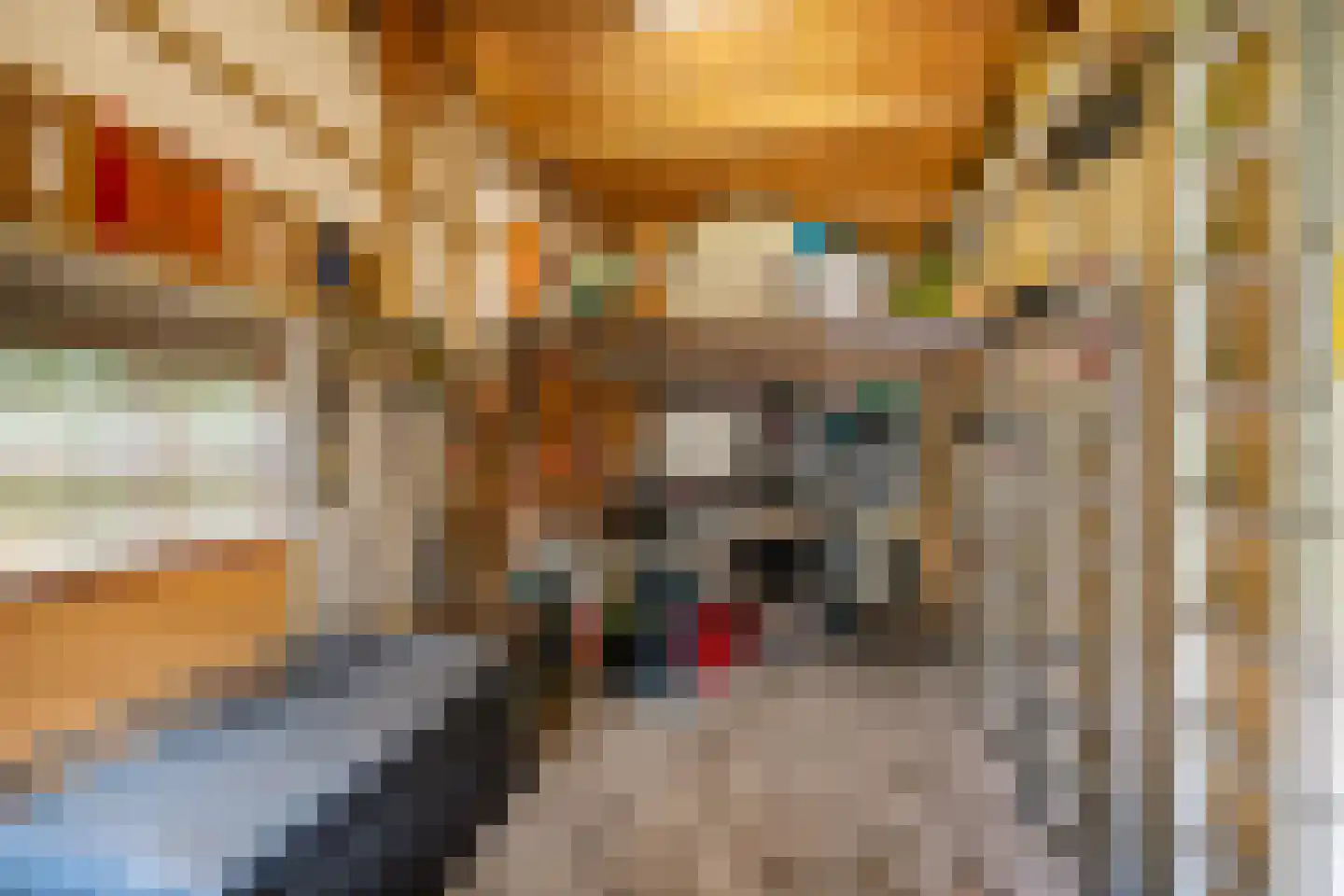 Torenlaan 10 Assen thumbnail 62