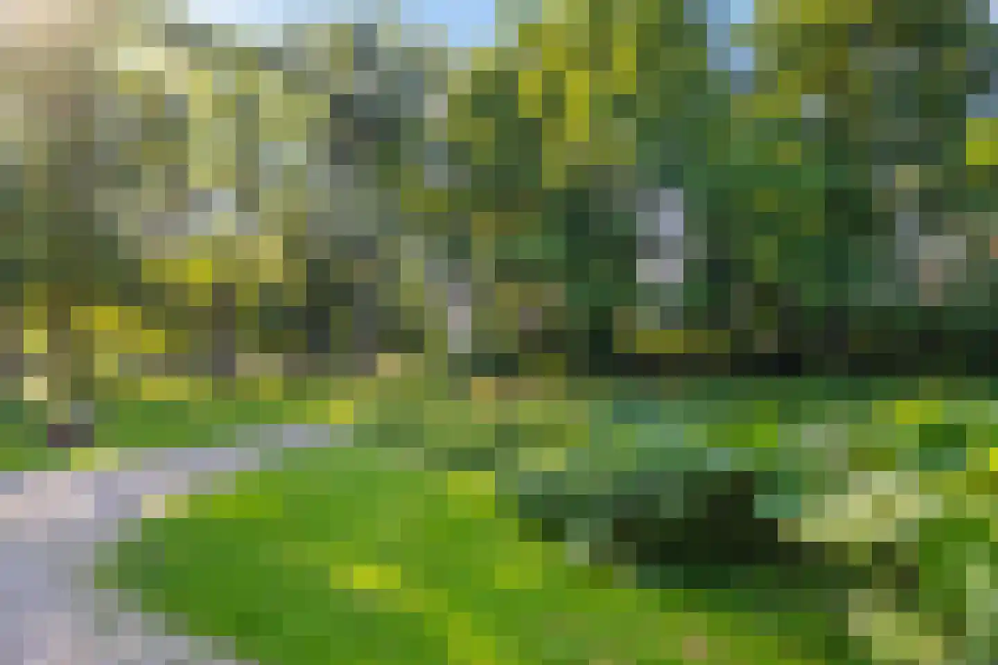 Torenlaan 10 Assen thumbnail 62