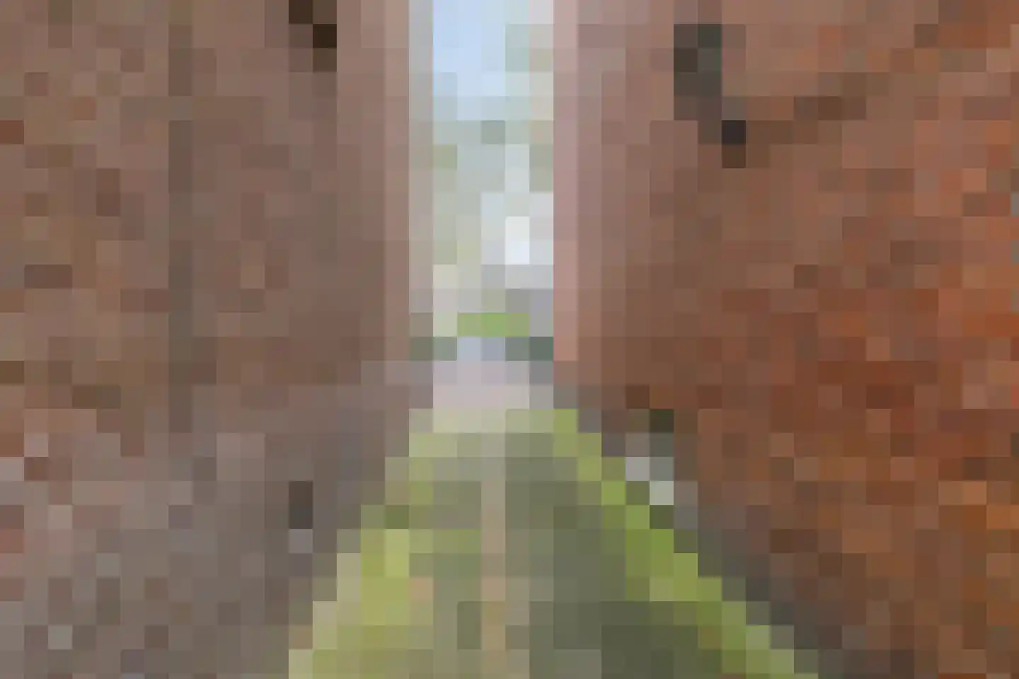 Torenlaan 10 Assen thumbnail 66