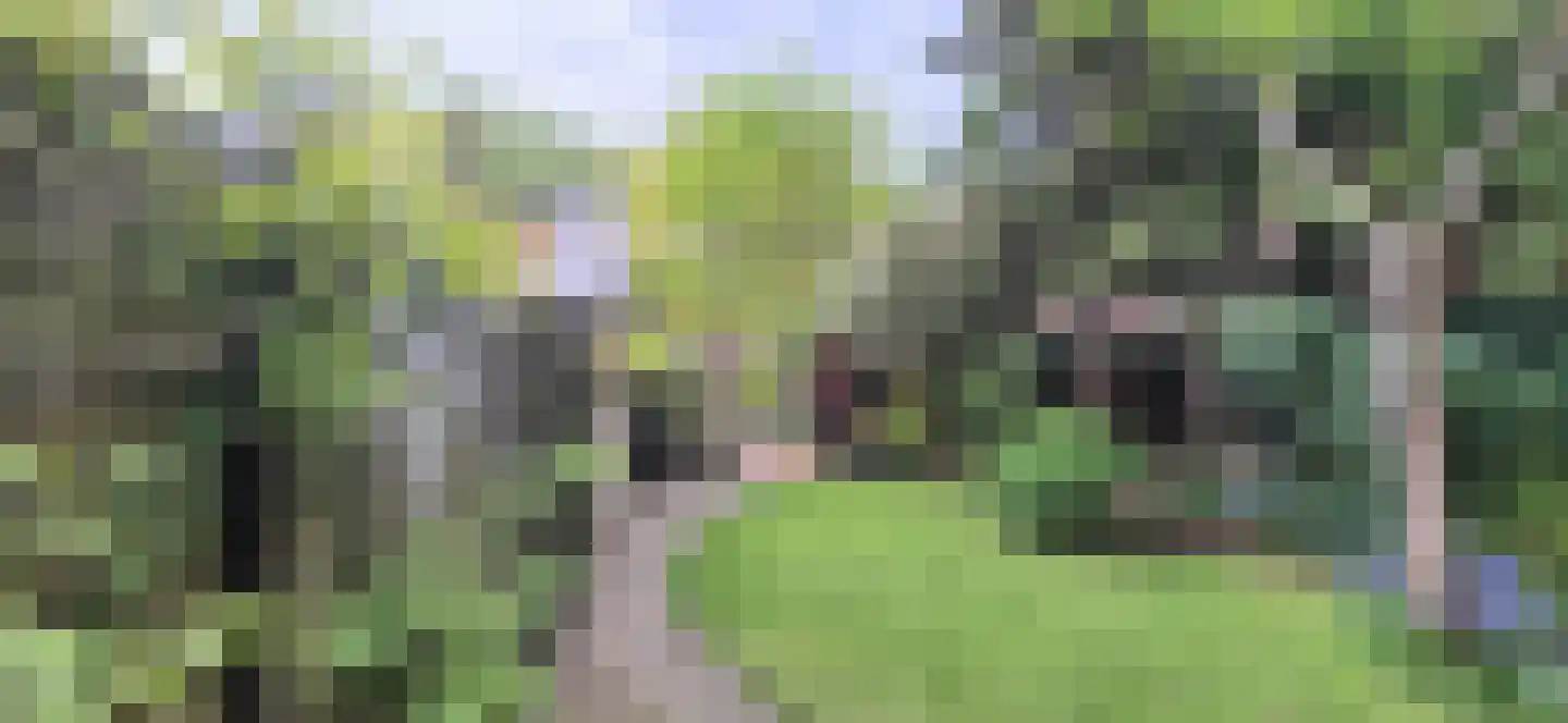 Torenlaan 10 Assen thumbnail 66