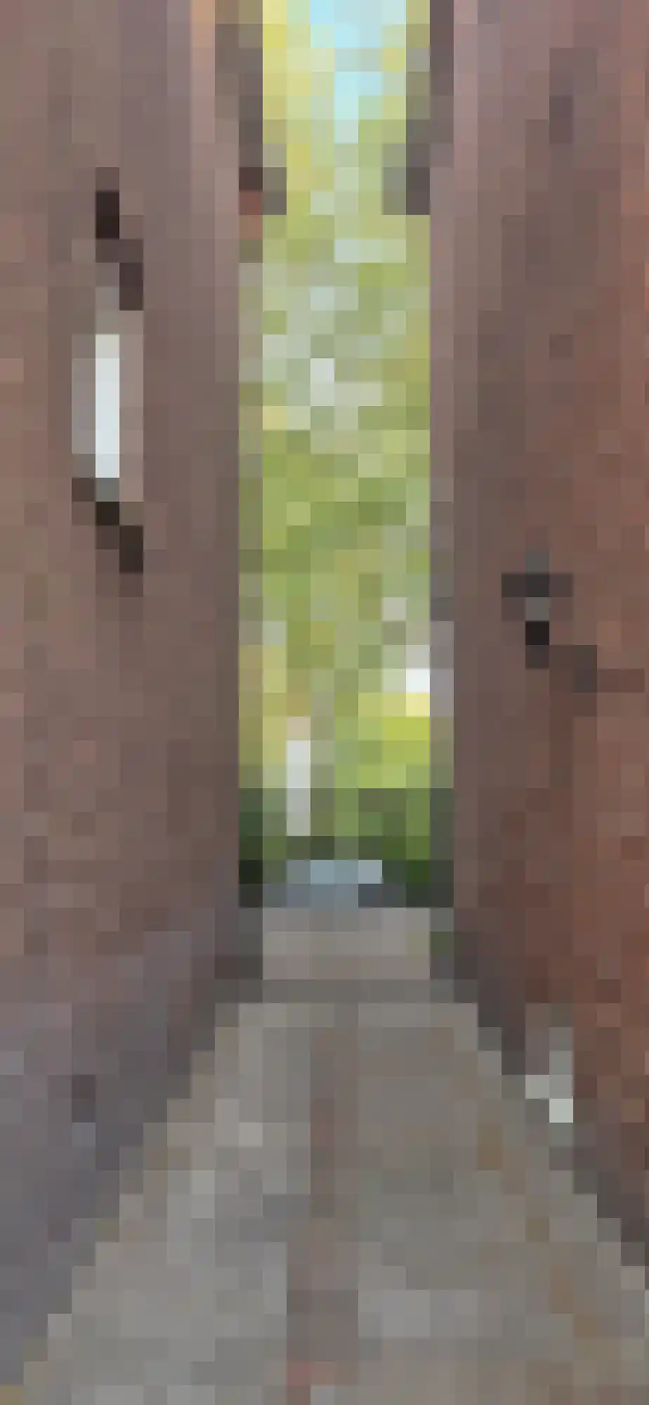 Torenlaan 10 Assen thumbnail 69