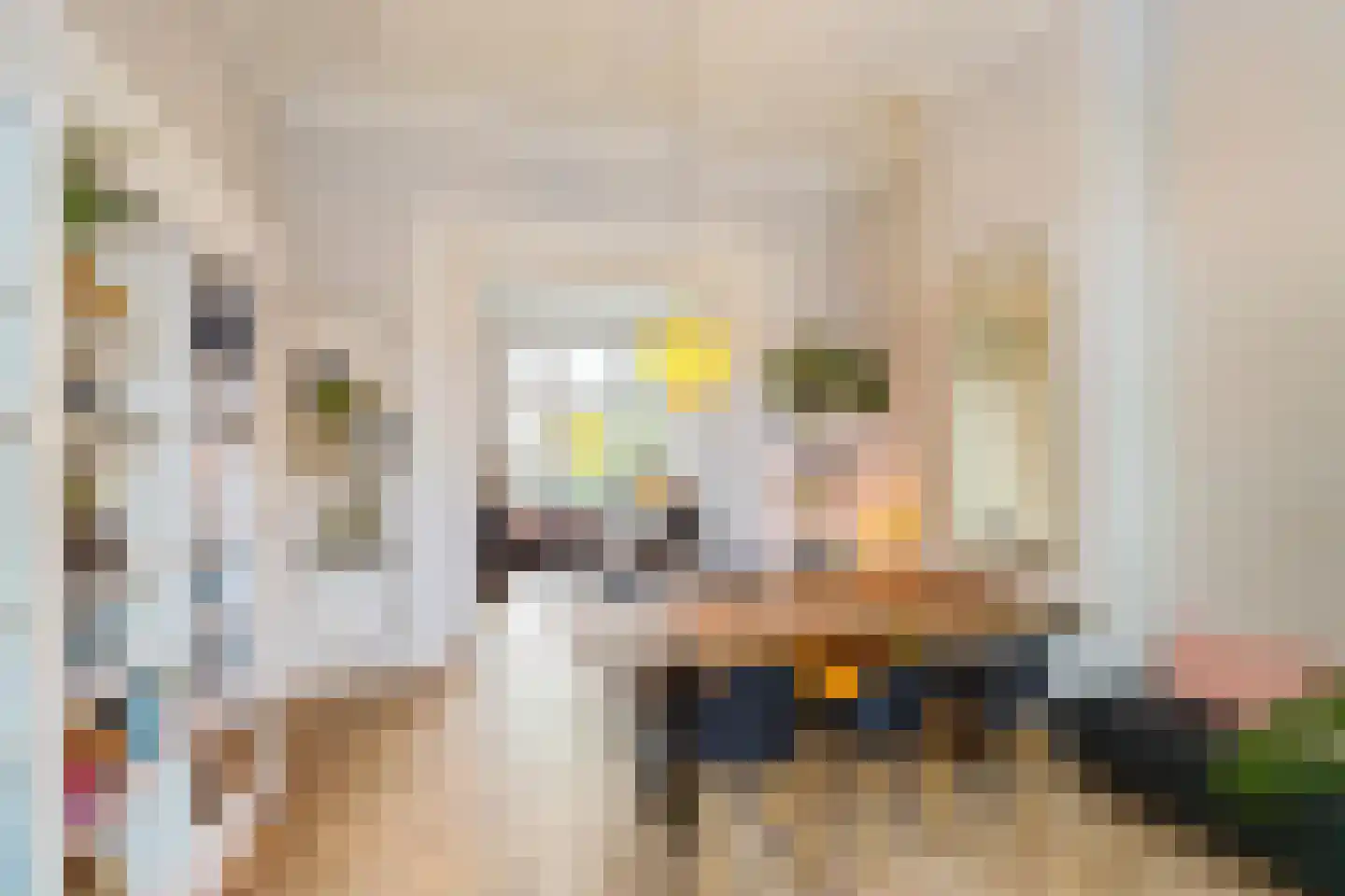 Torenlaan 10 Assen thumbnail 9