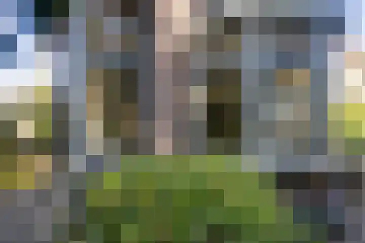 Torenlaan 10 Baarn thumbnail 33