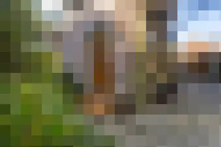 Torenlaan 10 Baarn thumbnail 34