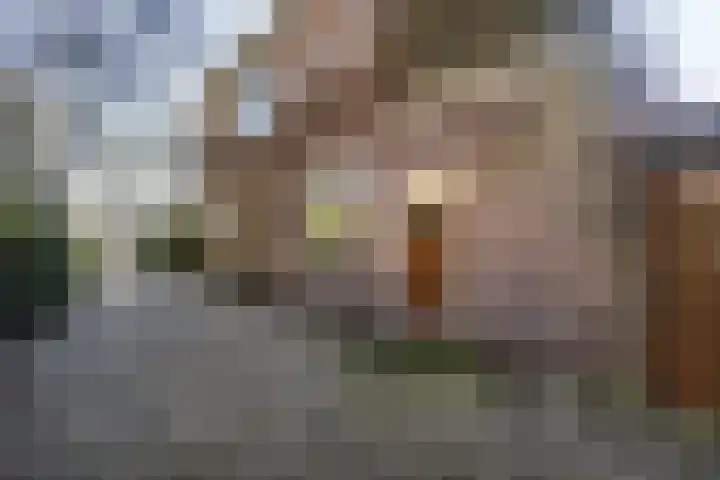 Torenlaan 10 Baarn thumbnail 35