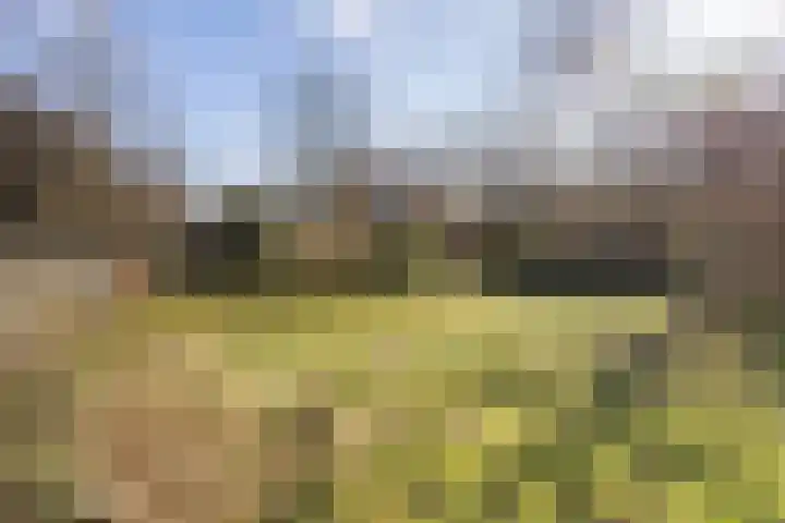 Torenlaan 10 Baarn thumbnail 36