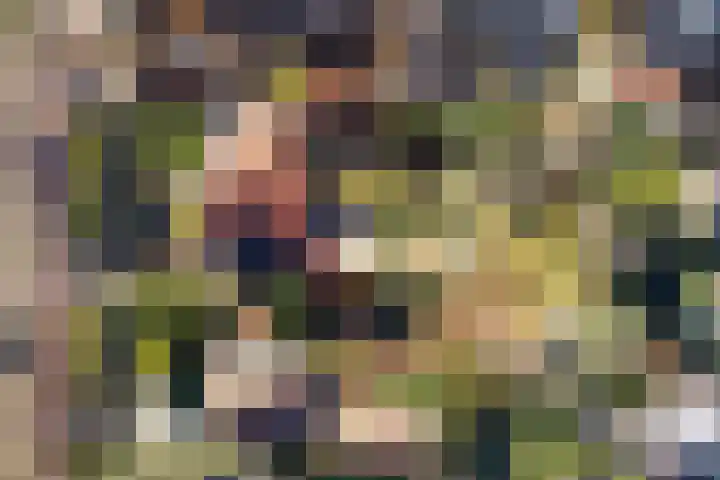 Torenlaan 10 Baarn thumbnail 38