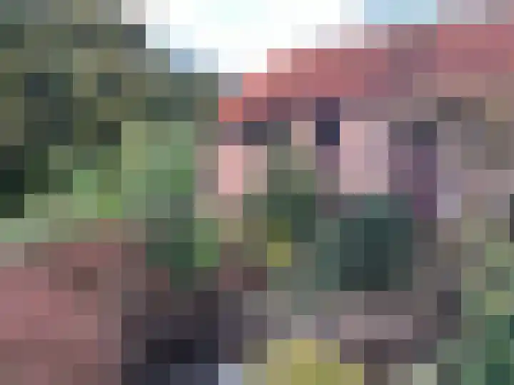 Torenlaan 10 Baarn thumbnail 5