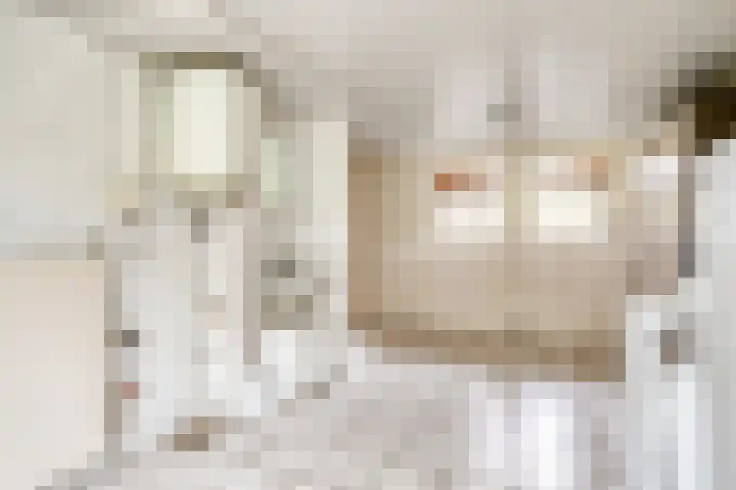 Torenlaan 10 Gendt thumbnail 15