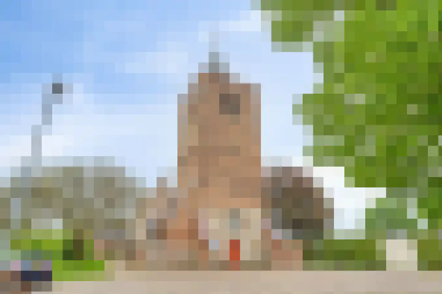 Torenlaan 10 Gendt thumbnail 45