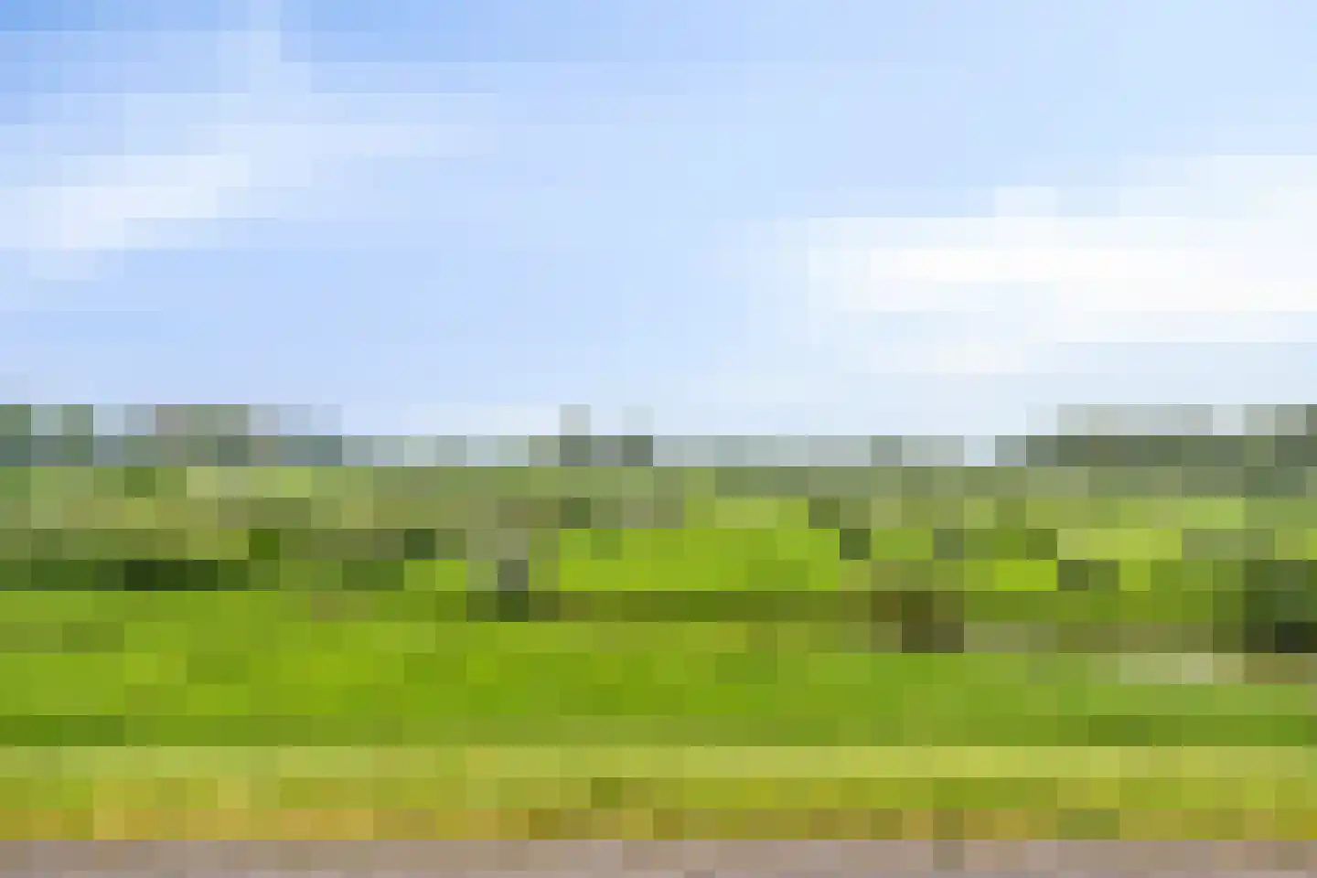 Torenlaan 10 Gendt thumbnail 47