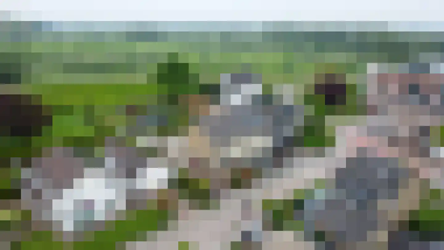 Torenlaan 10 Gendt thumbnail 48