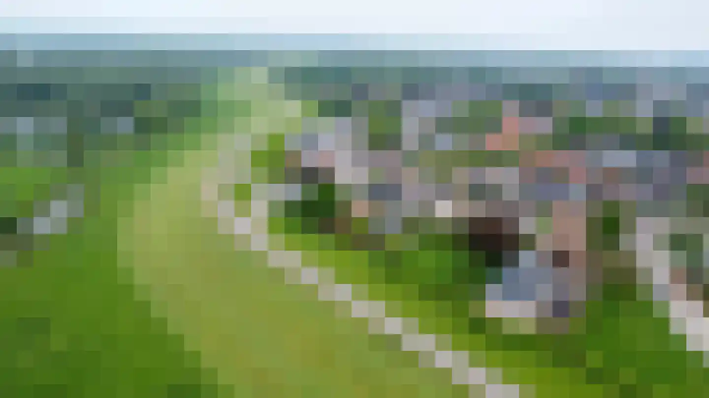 Torenlaan 10 Gendt thumbnail 49