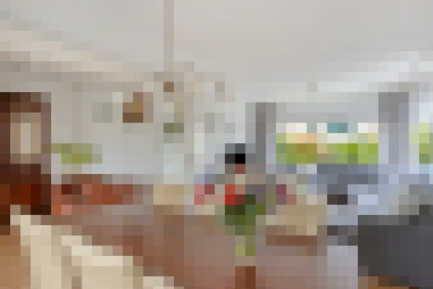 Torenlaan 10 Gendt thumbnail 7