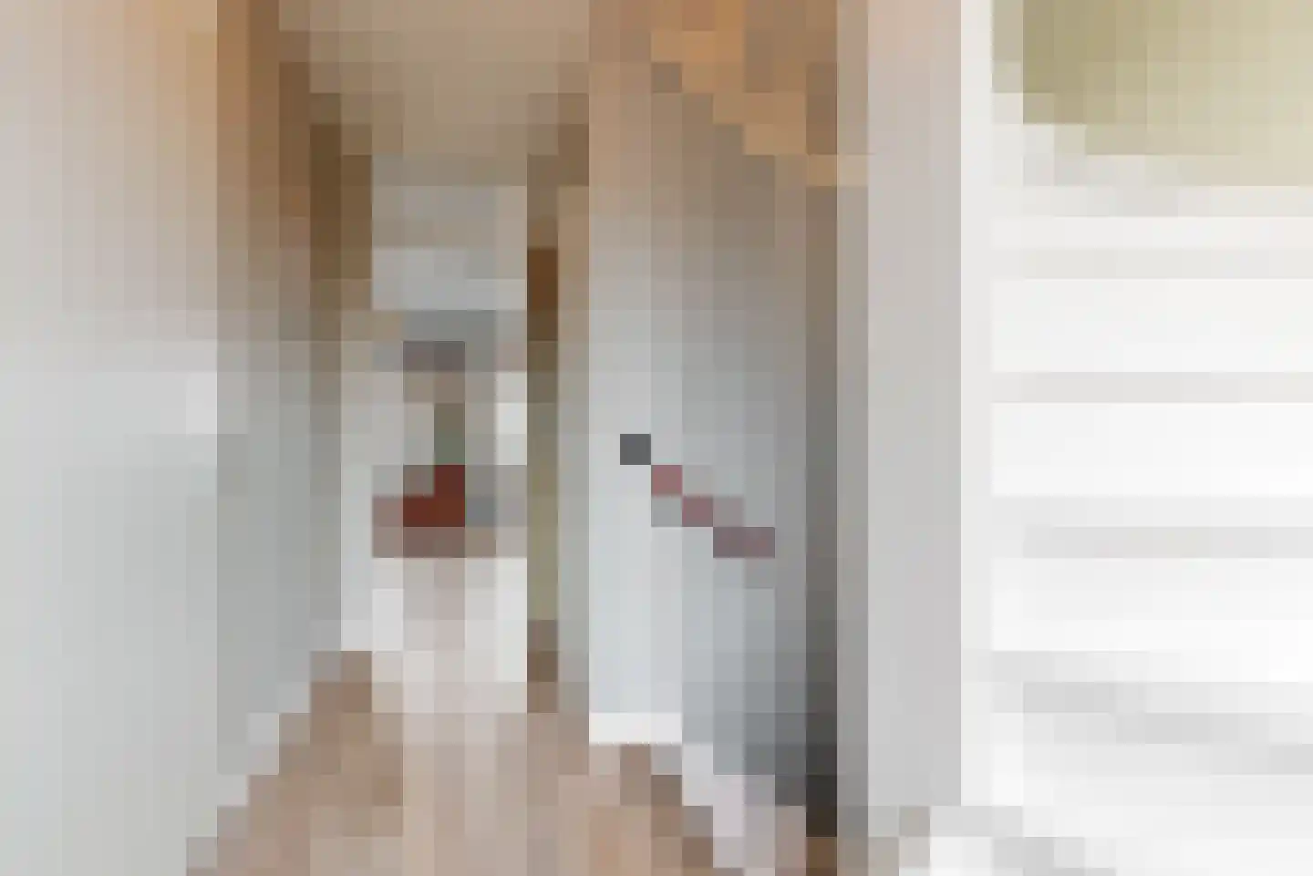 Torenlaan 11 Voorhout thumbnail 14