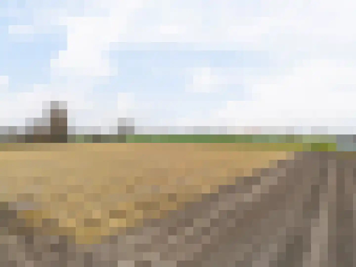 Torenlaan 11 Voorhout thumbnail 29