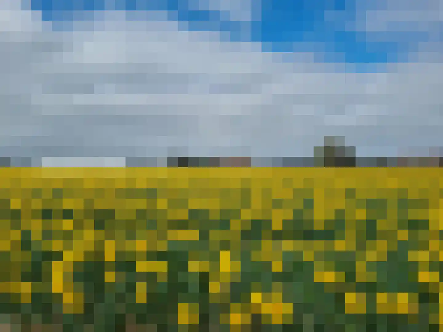 Torenlaan 11 Voorhout thumbnail 33