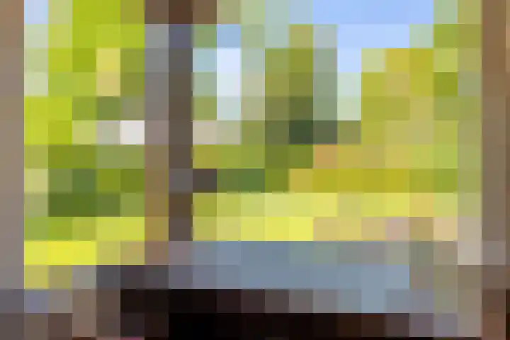 Torenlaan 11 Warnsveld thumbnail 17