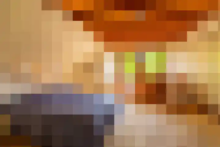Torenlaan 11 Warnsveld thumbnail 23