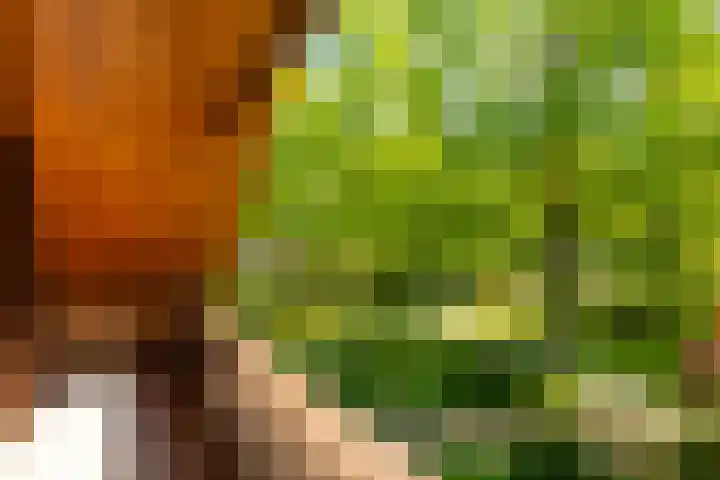Torenlaan 11 Warnsveld thumbnail 25