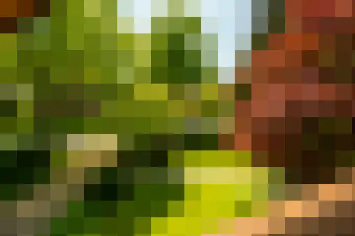 Torenlaan 11 Warnsveld thumbnail 26