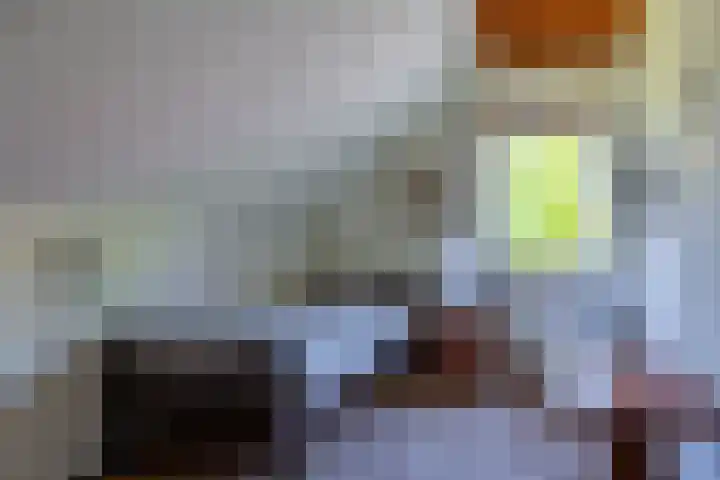 Torenlaan 11 Warnsveld thumbnail 30