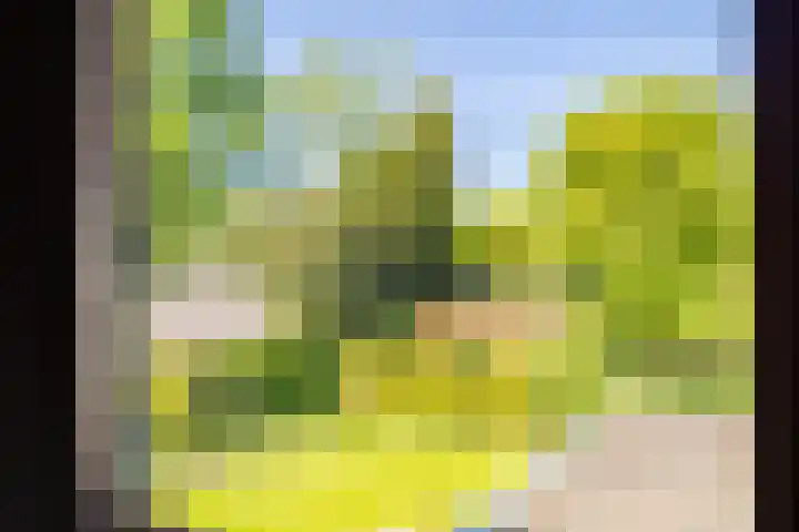 Torenlaan 11 Warnsveld thumbnail 33
