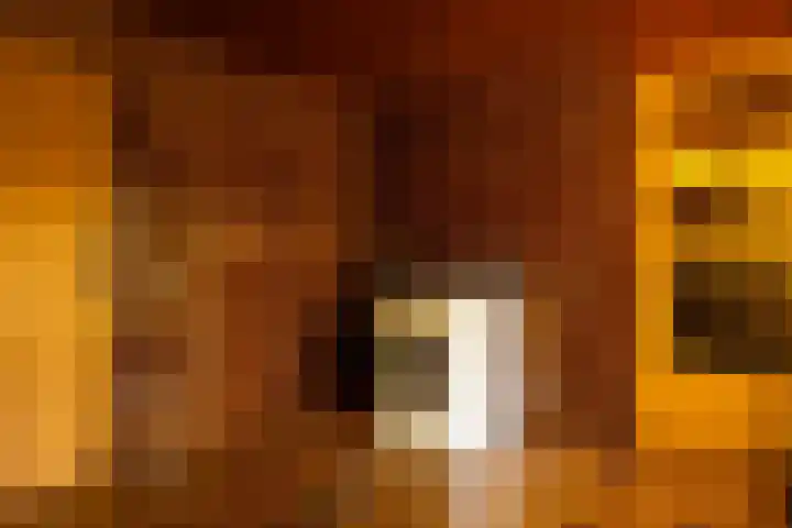 Torenlaan 11 Warnsveld thumbnail 34