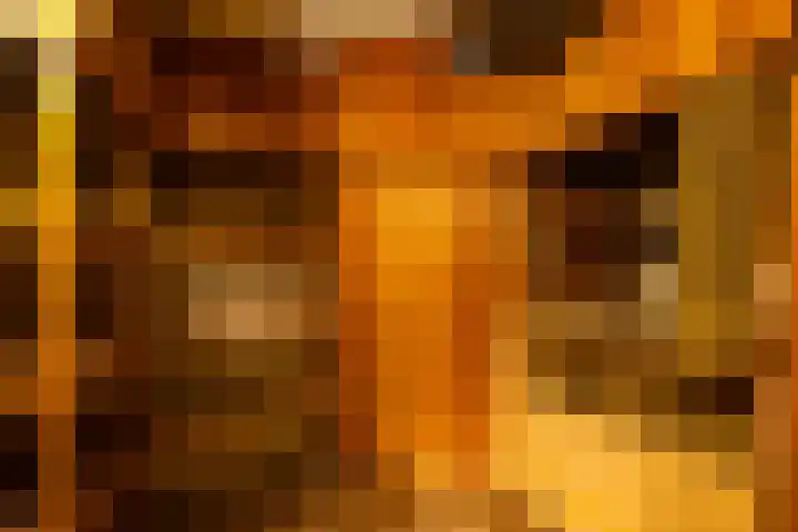 Torenlaan 11 Warnsveld thumbnail 38