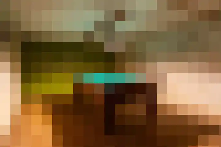 Torenlaan 11 Warnsveld thumbnail 39