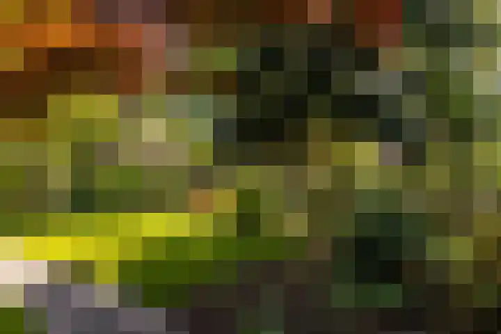 Torenlaan 11 Warnsveld thumbnail 40