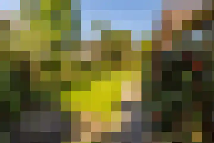 Torenlaan 11 Warnsveld thumbnail 41