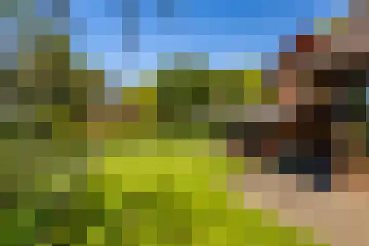 Torenlaan 11 Warnsveld thumbnail 42