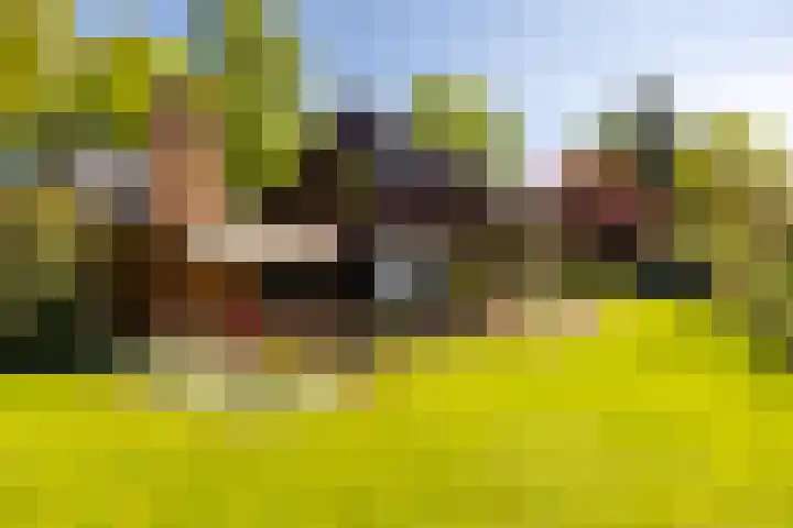 Torenlaan 11 Warnsveld thumbnail 43