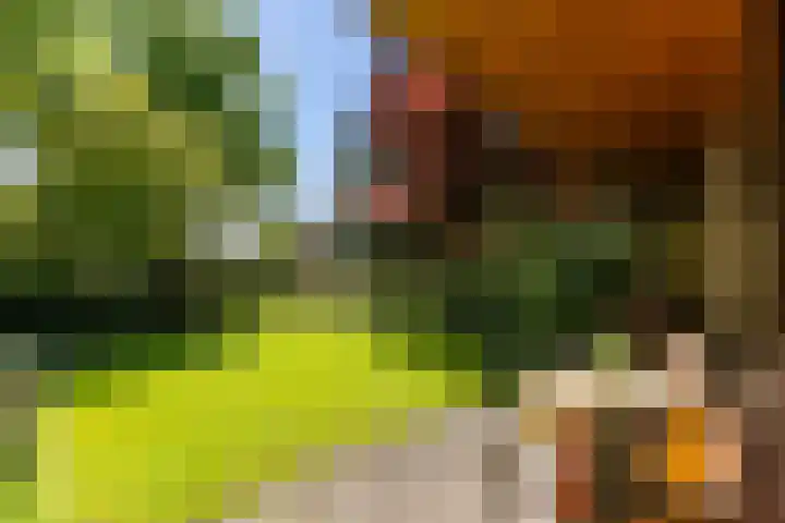 Torenlaan 11 Warnsveld thumbnail 46