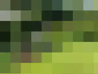 Torenlaan 11 Warnsveld thumbnail 48