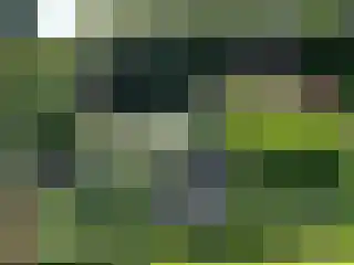 Torenlaan 11 Warnsveld thumbnail 50