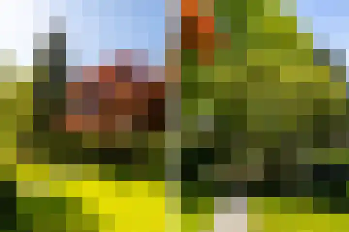 Torenlaan 11 Warnsveld thumbnail 52