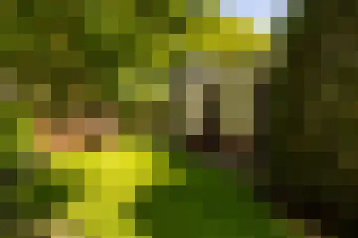 Torenlaan 11 Warnsveld thumbnail 53