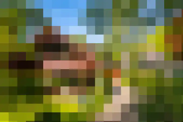 Torenlaan 11 Warnsveld thumbnail 55