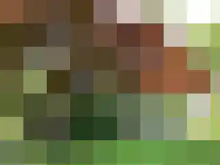 Torenlaan 11 Warnsveld thumbnail 56