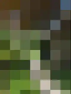 Torenlaan 11 Warnsveld thumbnail 57