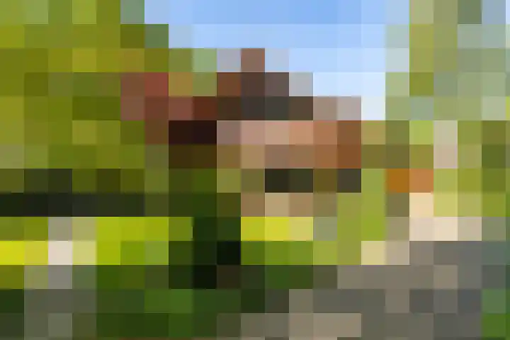 Torenlaan 11 Warnsveld thumbnail 58