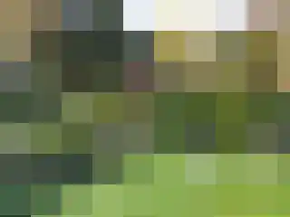 Torenlaan 11 Warnsveld thumbnail 63